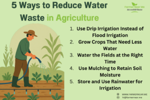 5 Ways to Reduce Water Waste in Agriculture
