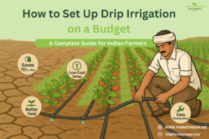 How to Set Up Drip Irrigation on a Budget