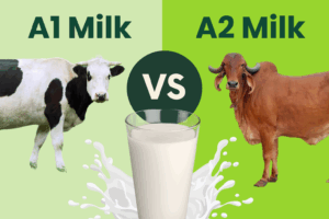 A1 vs A2